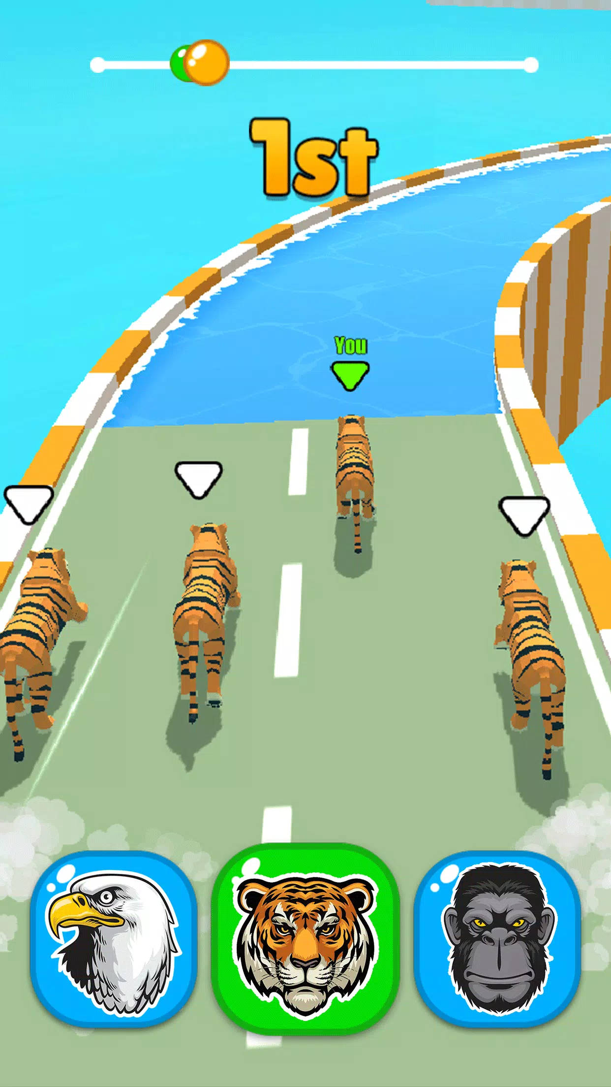 动物赛跑