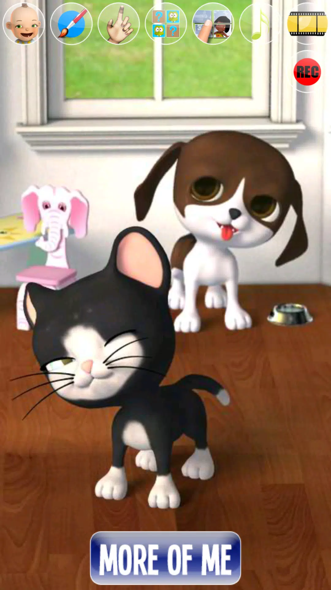 说到星级：猫犬宠物