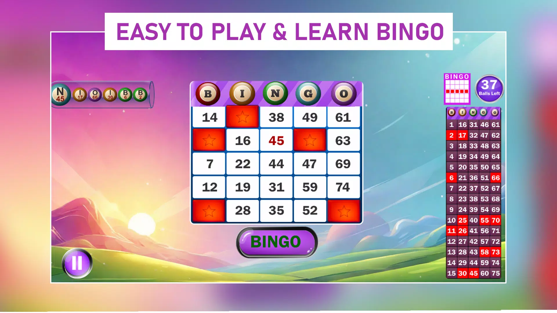 Bingo Boom星宝