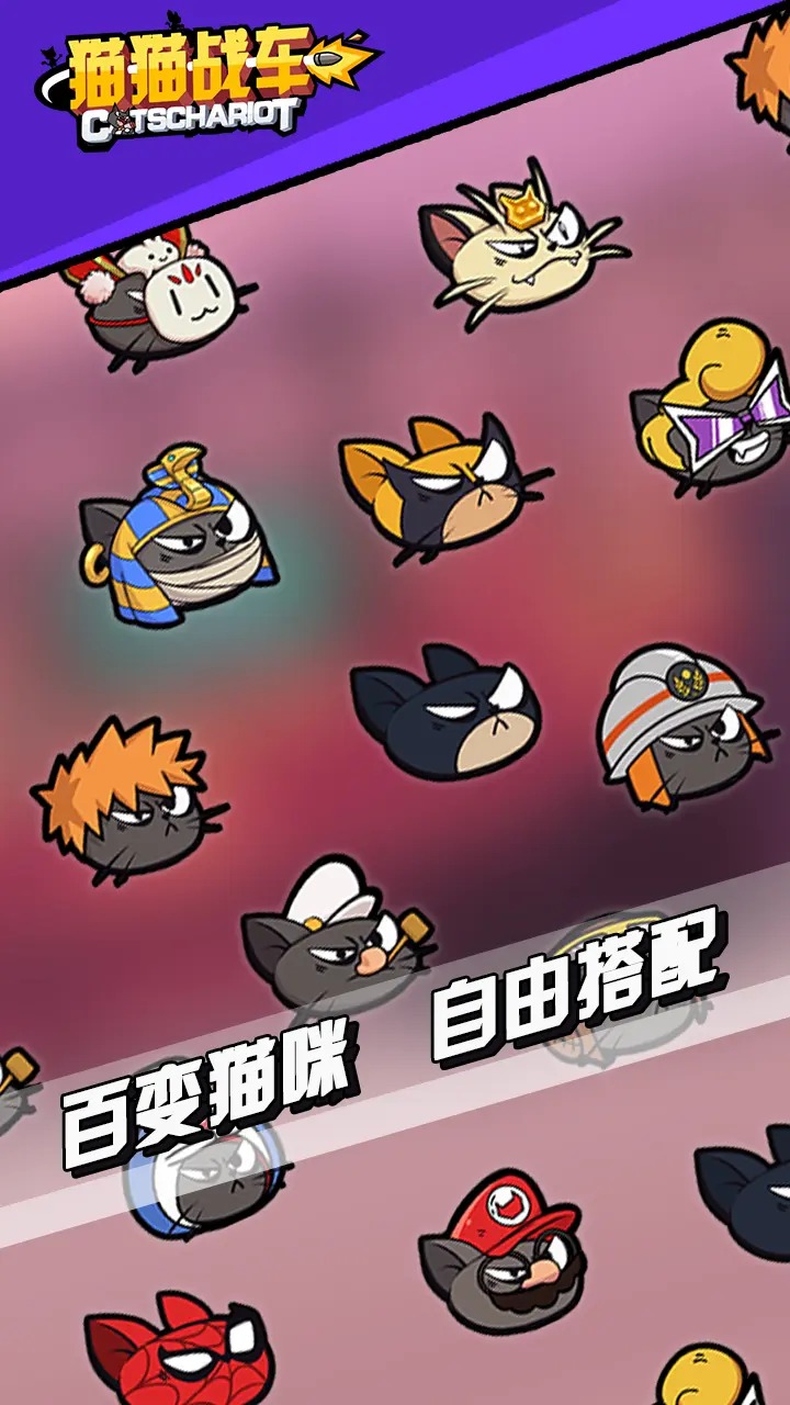 猫猫战车