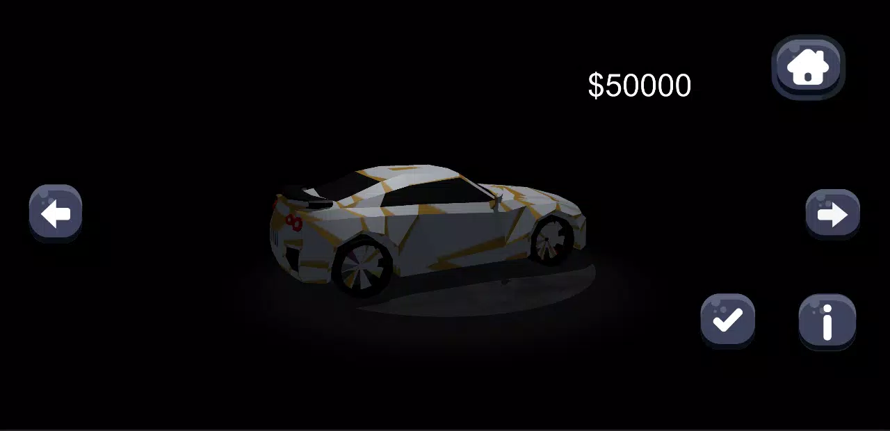 汽车拉力赛 汽车拉力赛