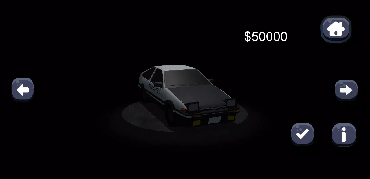 汽车拉力赛 汽车拉力赛