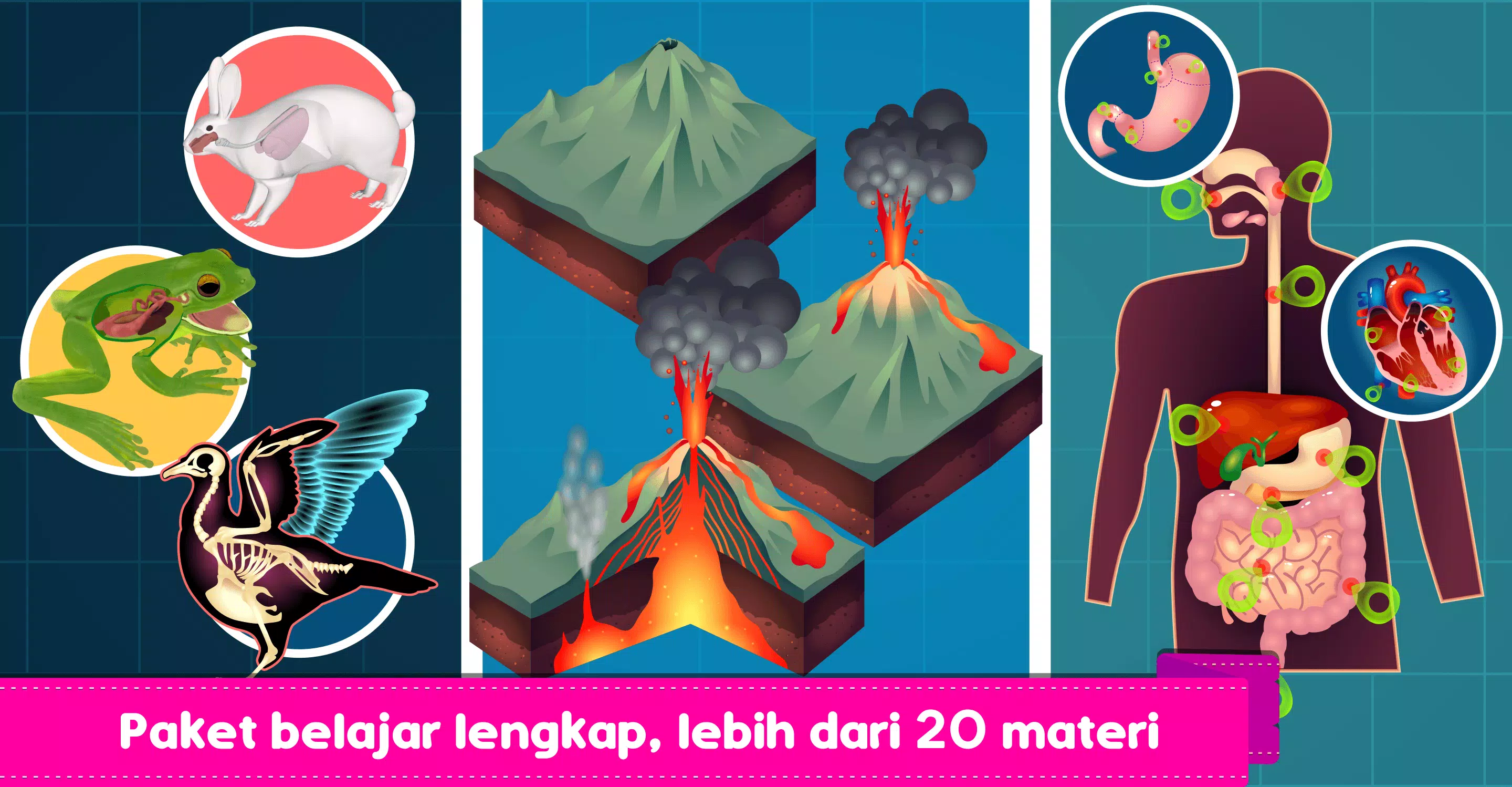 Marbel Sains