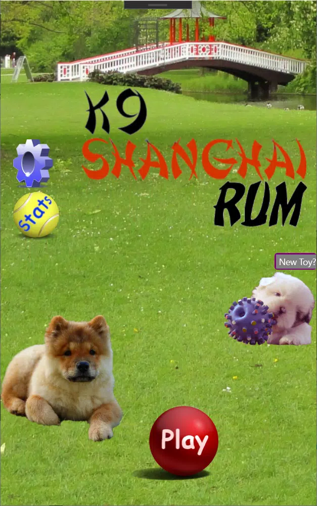K9上海朗姆酒