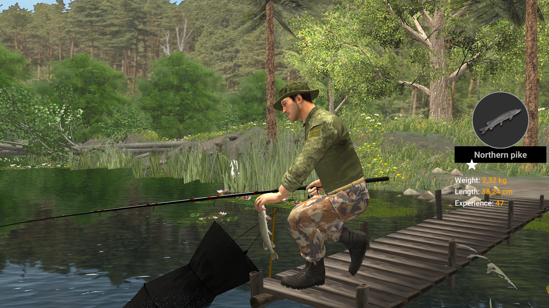 专业钓鱼2