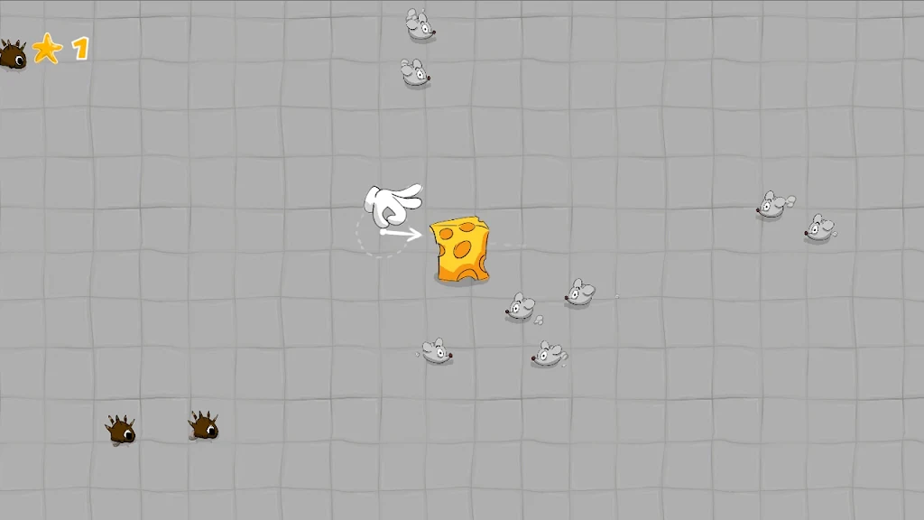 奶酪闪烁 奶酪闪烁