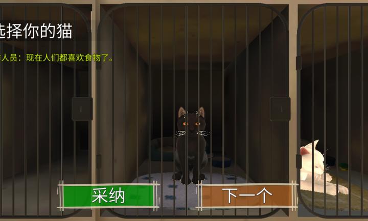 顽皮猫生活模拟