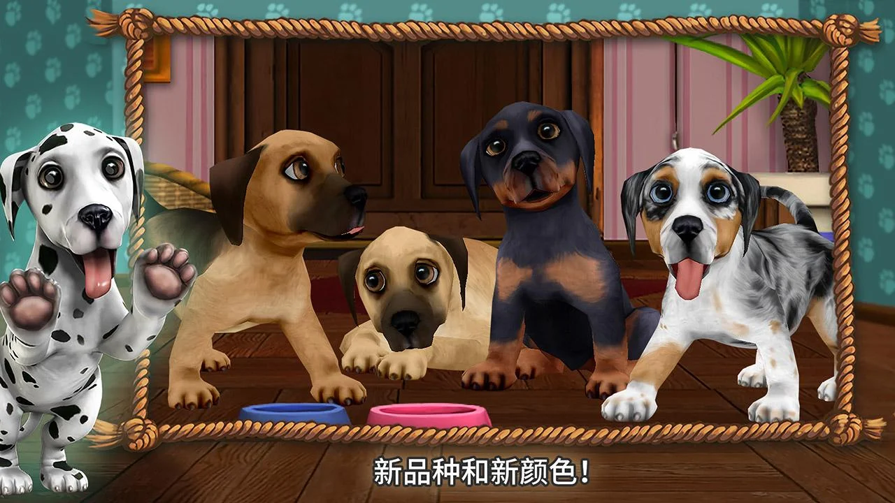 狗狗世界