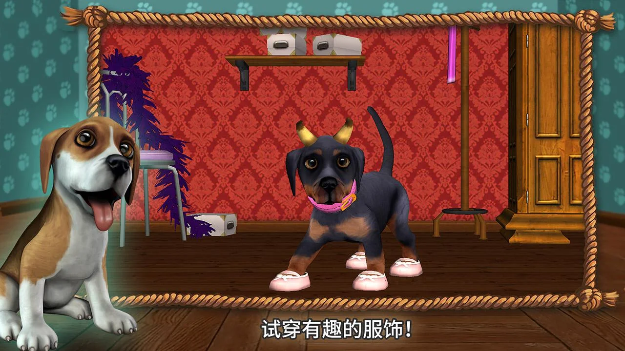 狗狗世界