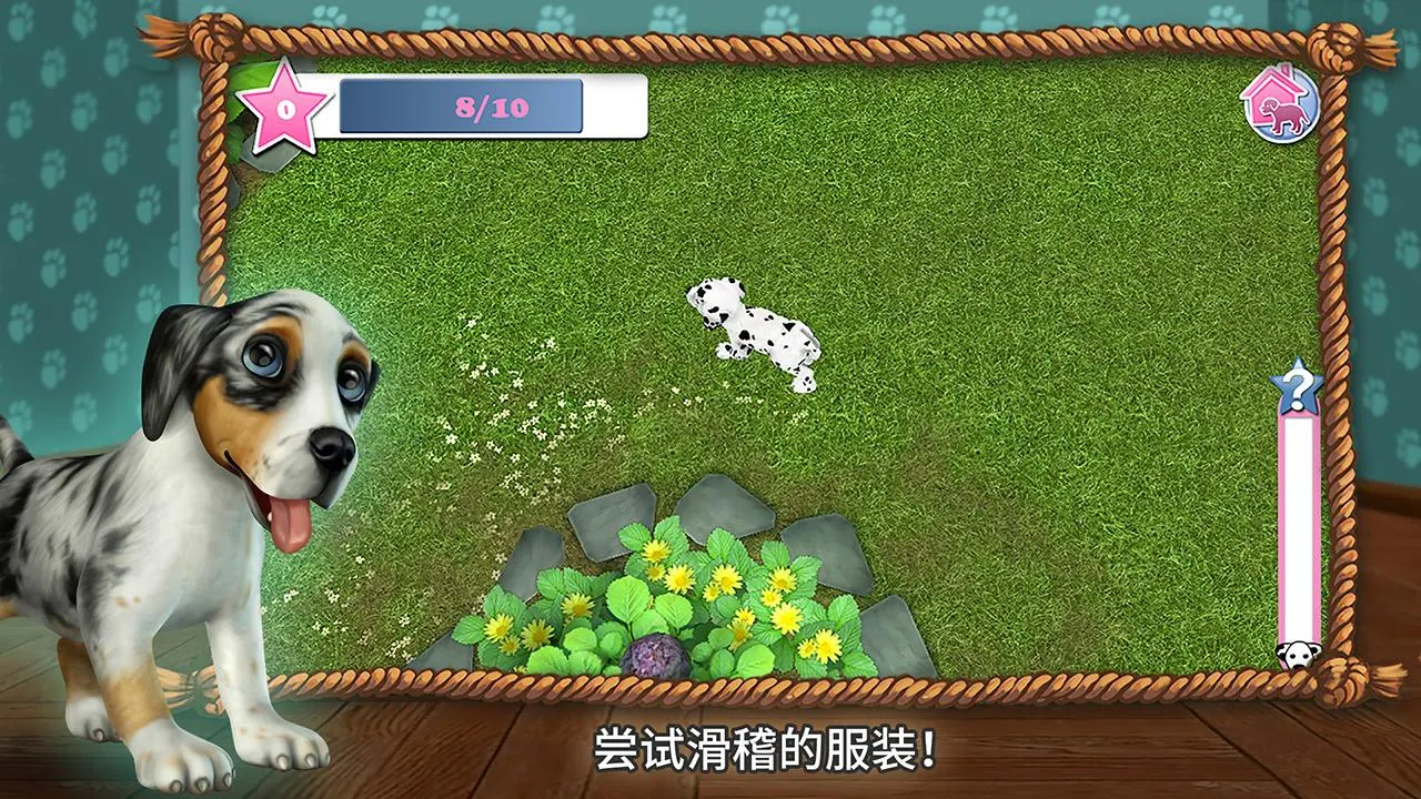 狗狗世界