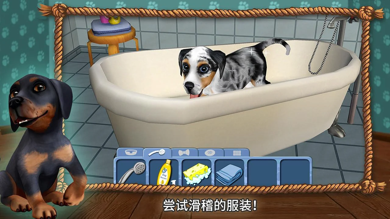 狗狗世界
