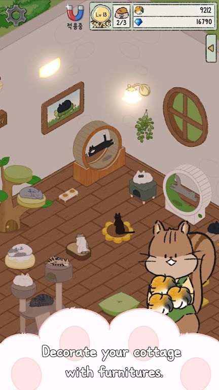 猫咪小屋