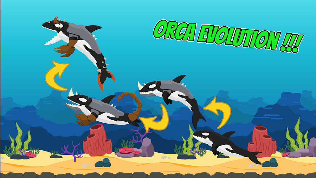 海洋霸主:大白鲨VS虎鲸 海洋霸主:大白鲨VS虎鲸