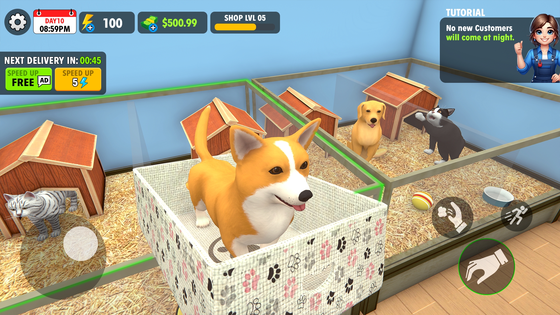 宠物店旅程模拟器 宠物店旅程模拟器