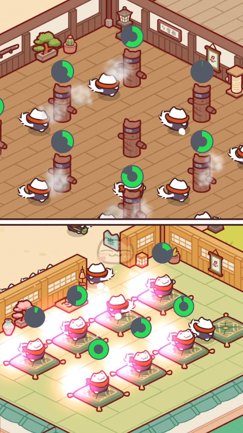 猫忍者学校 猫忍者学校