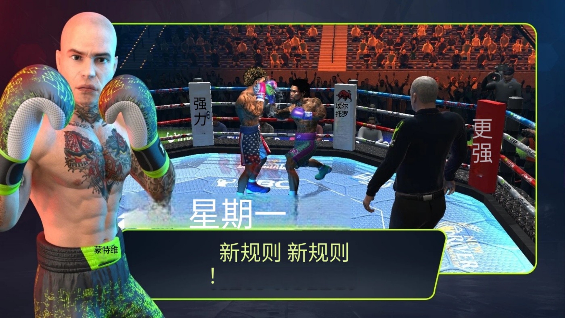 终极拳击冠军 终极拳击冠军