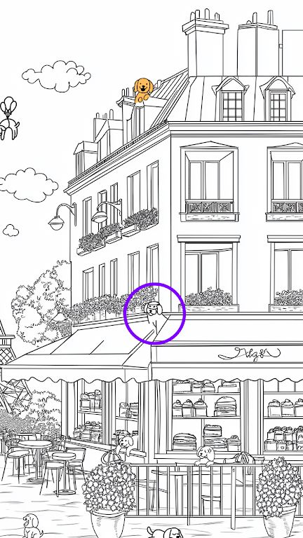 寻找小狗 寻找小狗