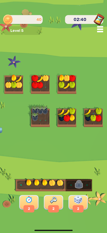 水果分类 水果分类