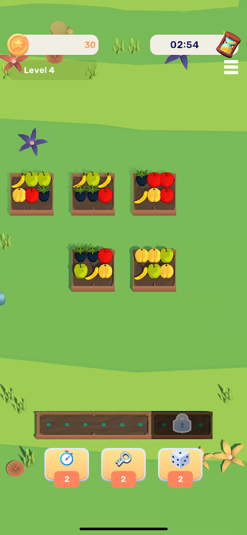 水果分类 水果分类