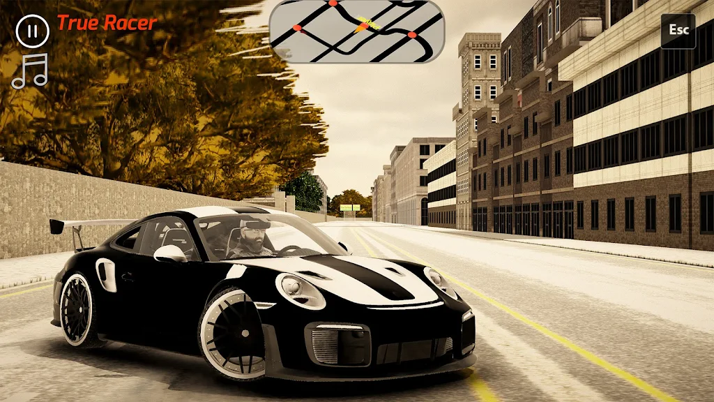 真正的赛车手 真正的赛车手