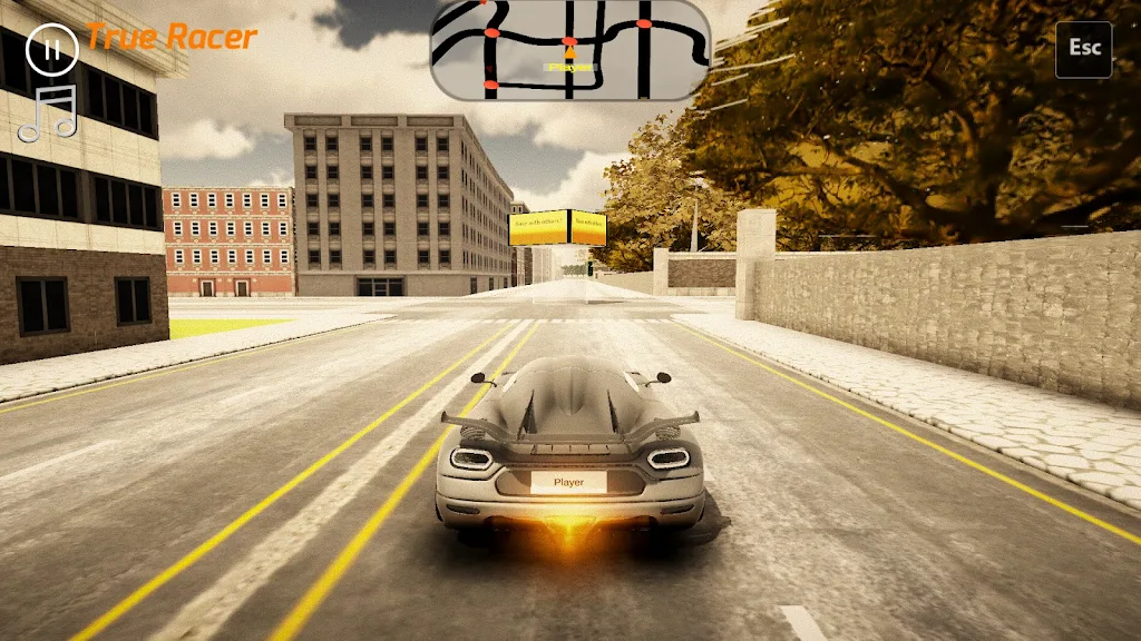 真正的赛车手 真正的赛车手