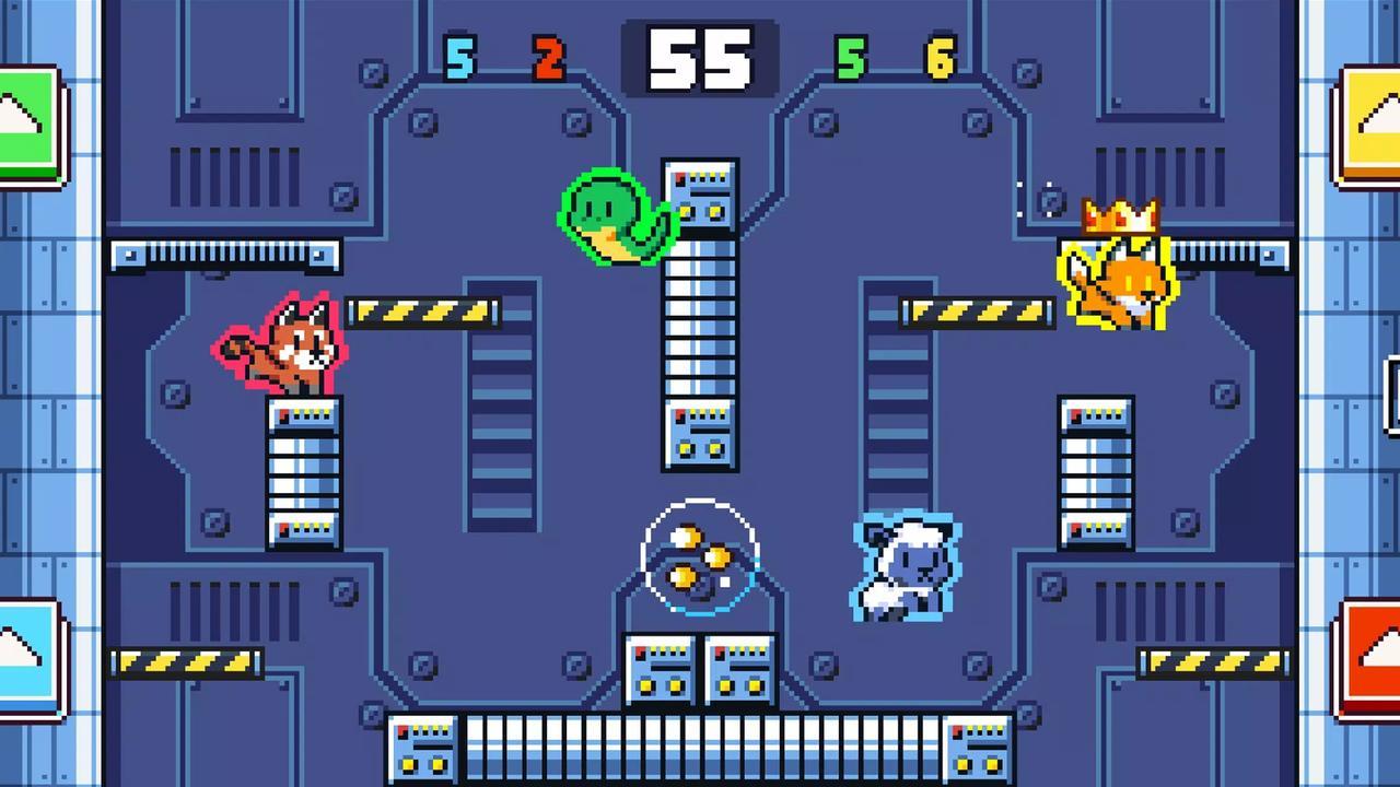 动物竞技场 动物竞技场