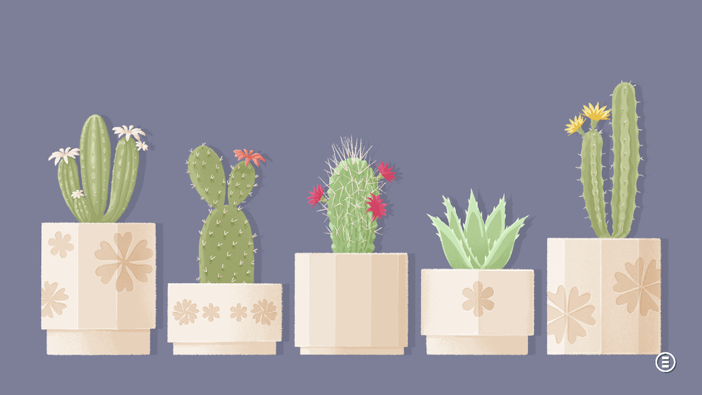 向左一点:看见星星 向左一点:看见星星