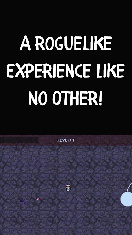 肉鸽十分钟 肉鸽十分钟