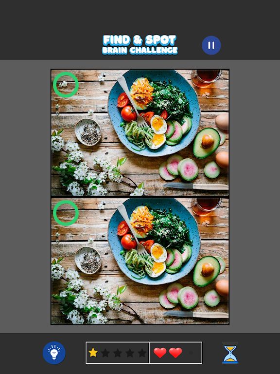 发现差异:大脑挑战 发现差异:大脑挑战