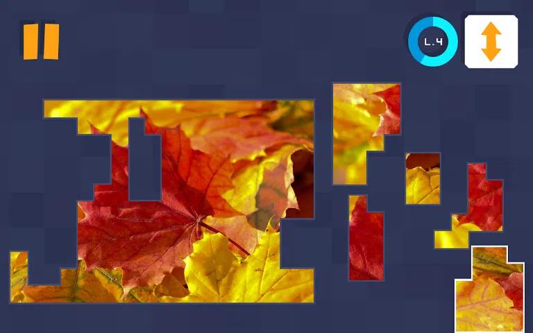 宁静谜题 宁静谜题