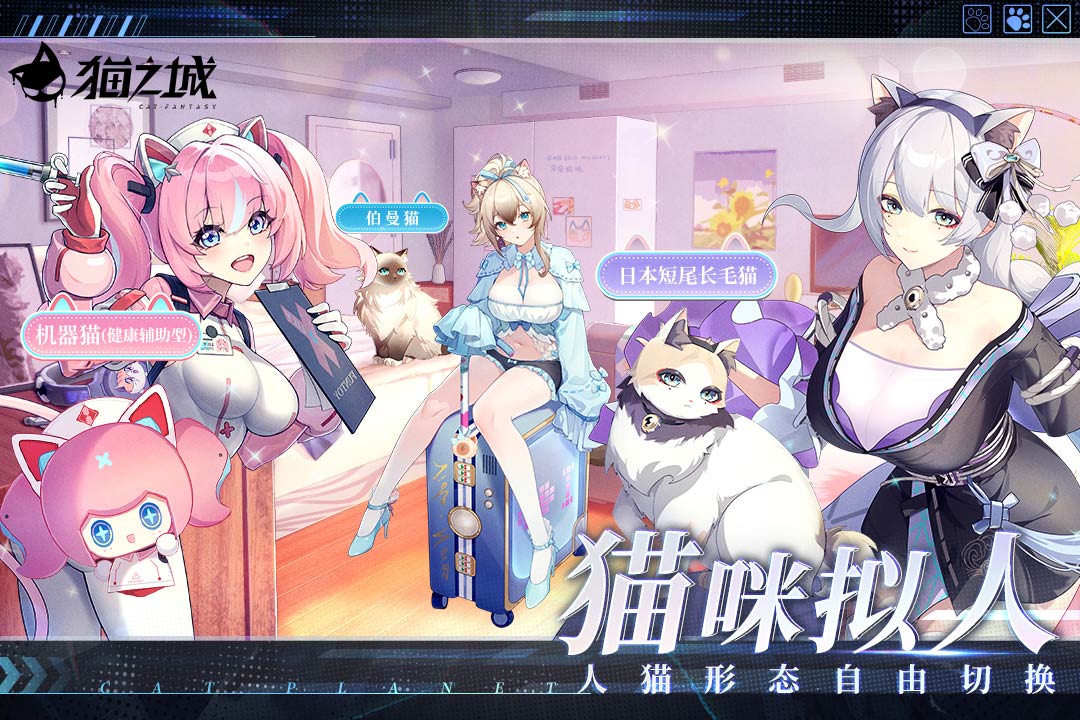 猫之城