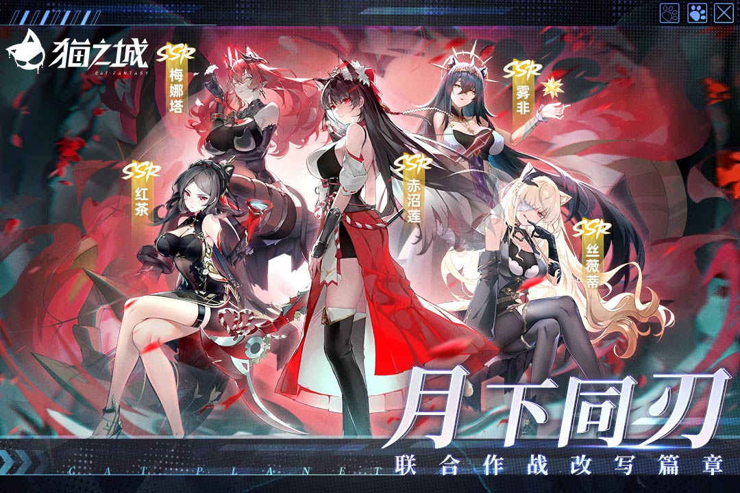 猫之城