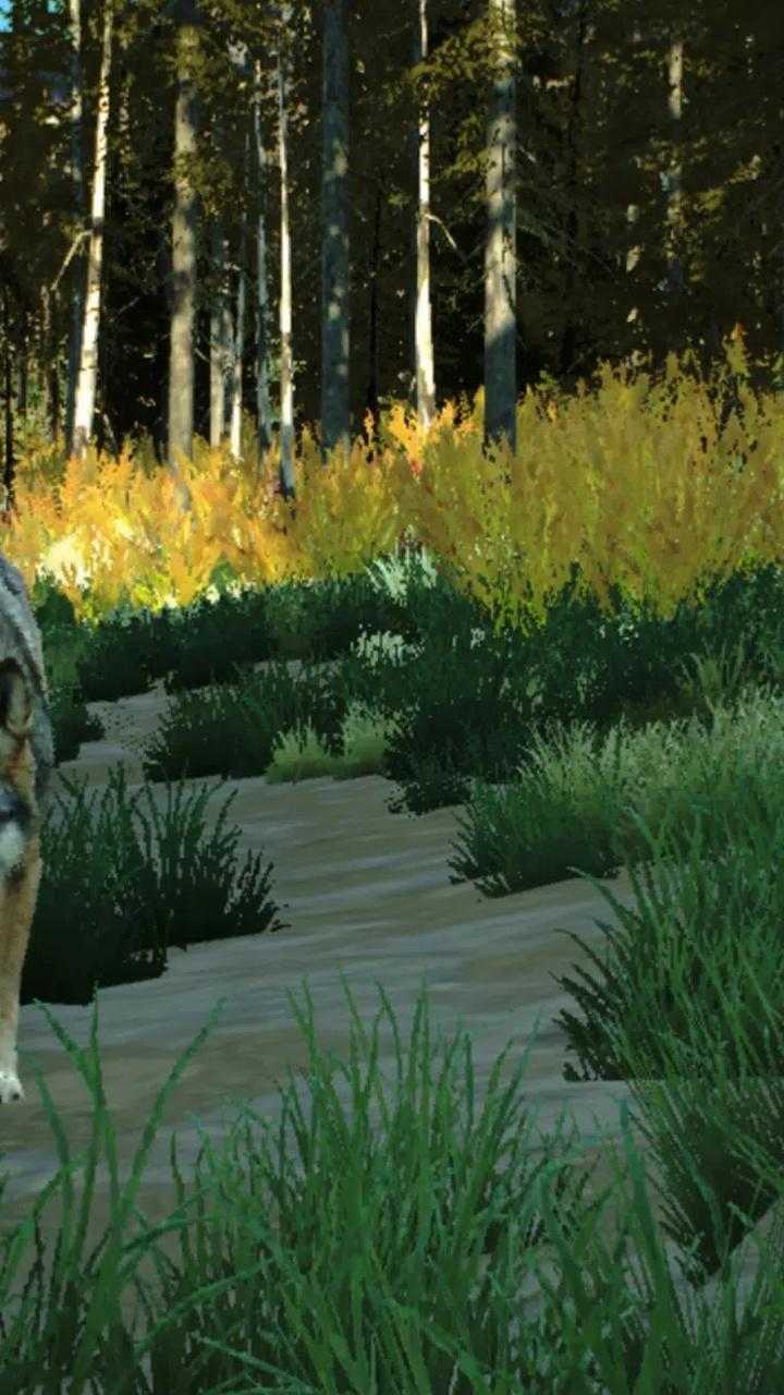 狩猎之道兼容版 狩猎之道兼容版