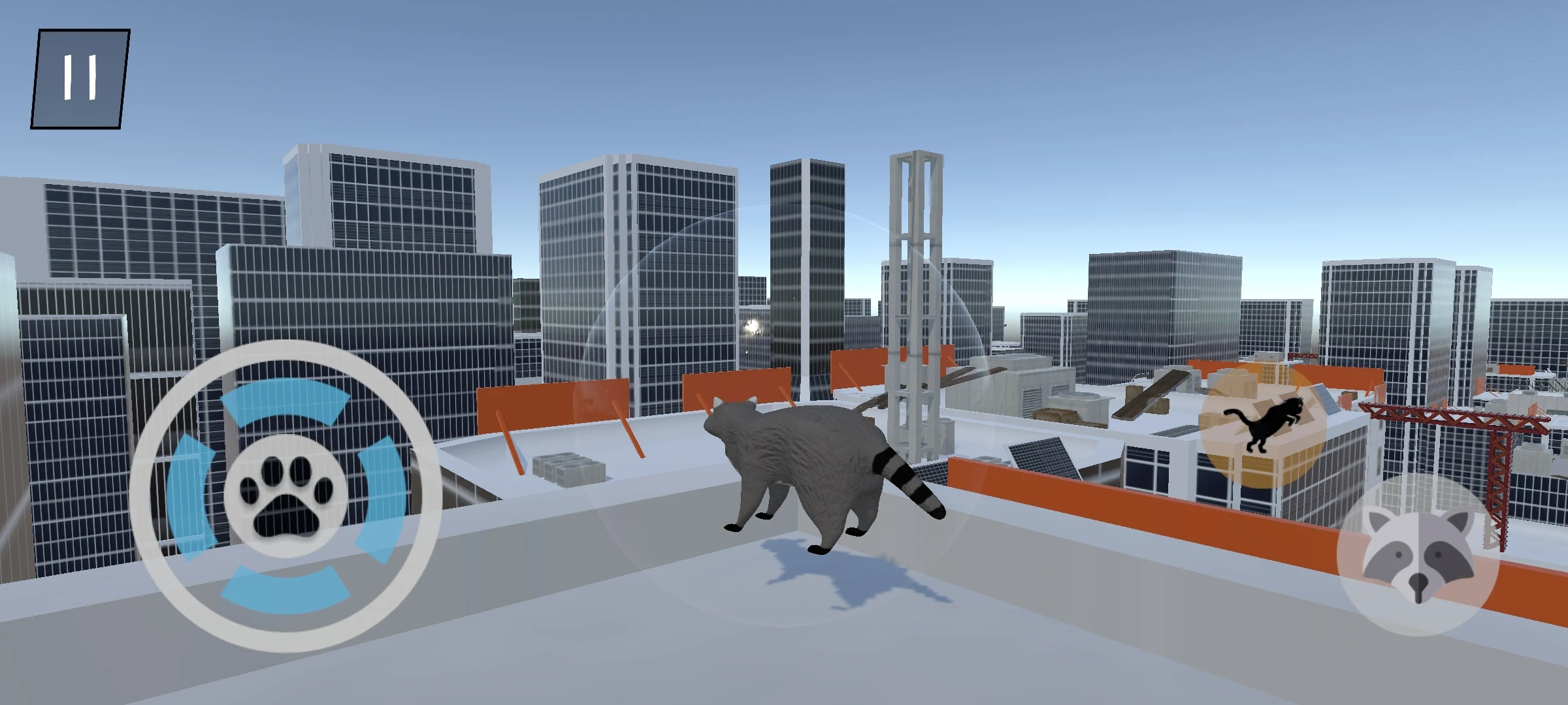 流浪的浣熊 流浪的浣熊