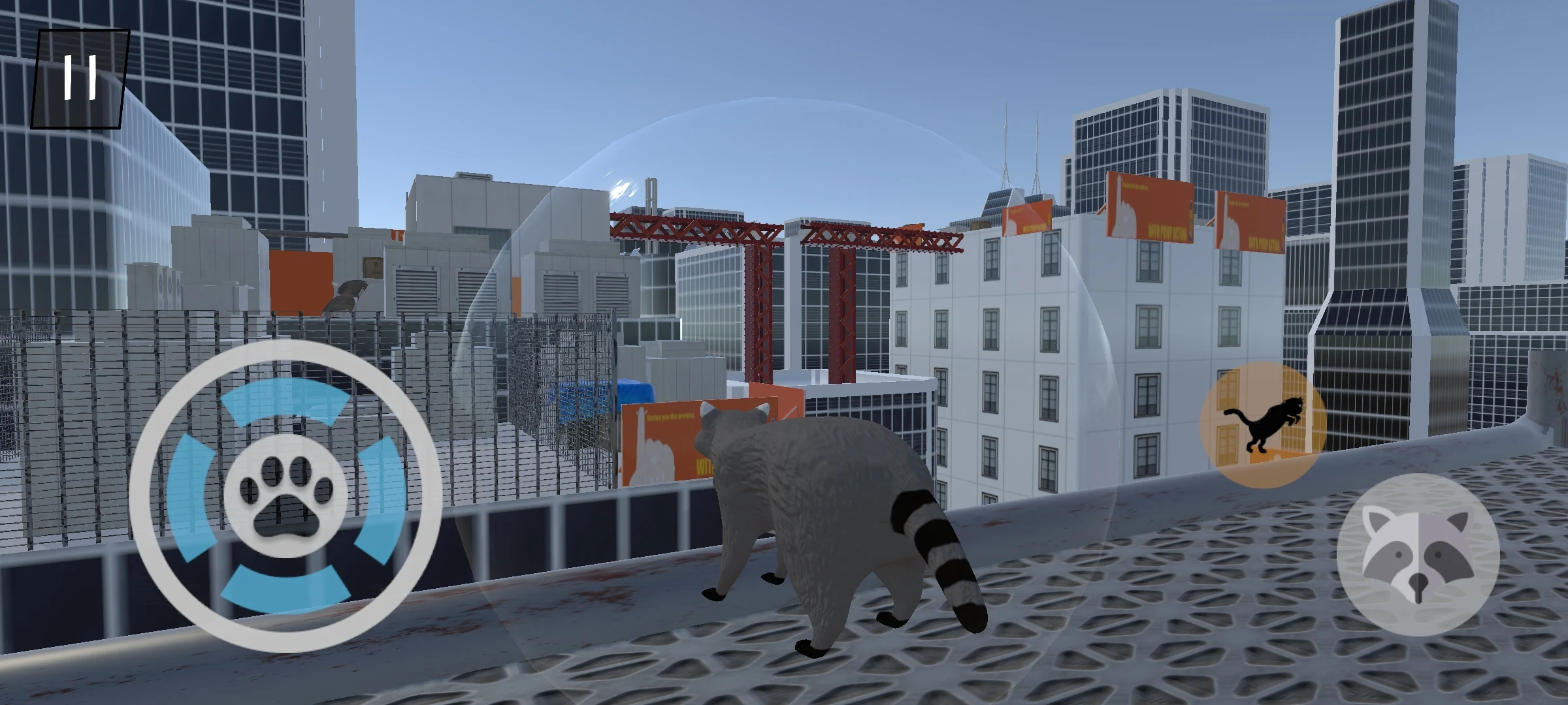 流浪的浣熊 流浪的浣熊