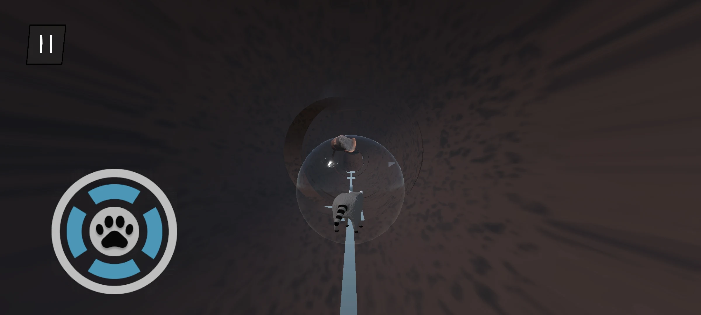 流浪的浣熊 流浪的浣熊