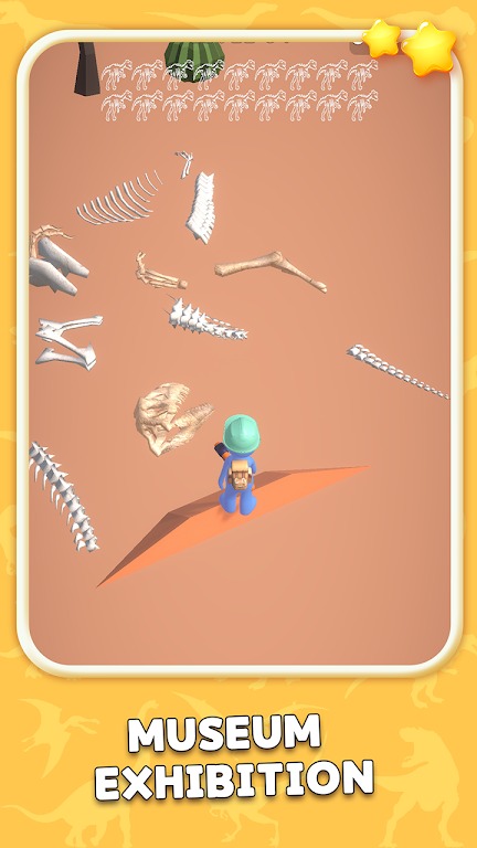 挖掘化石 挖掘化石