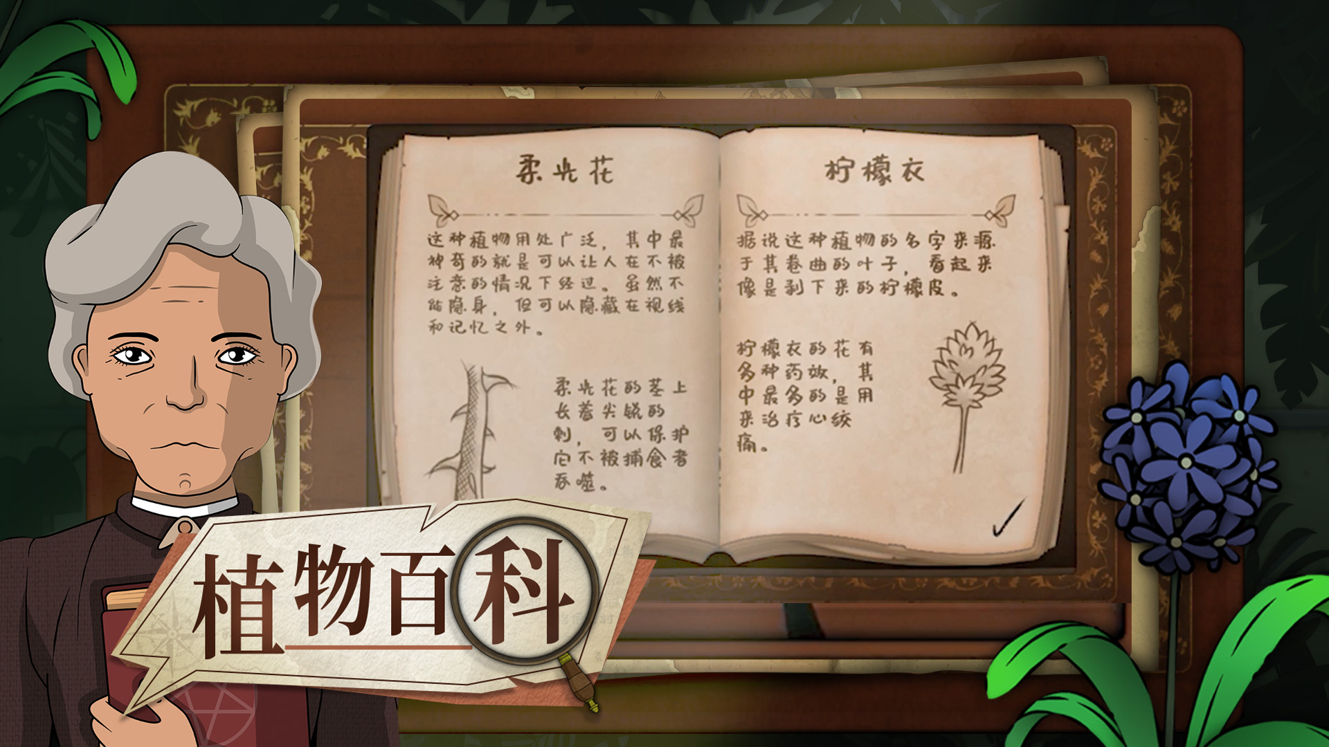 奇异园艺 奇异园艺