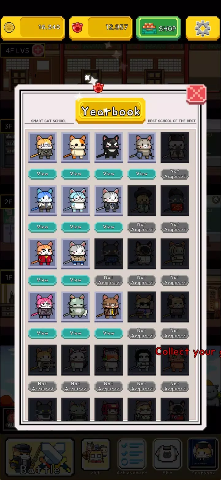 猫猫学园
