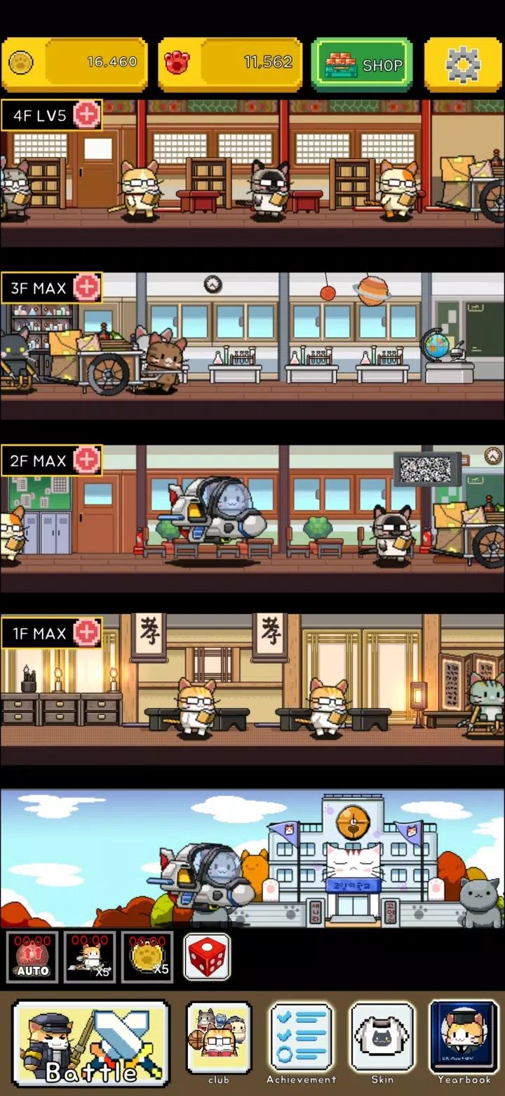猫猫学园