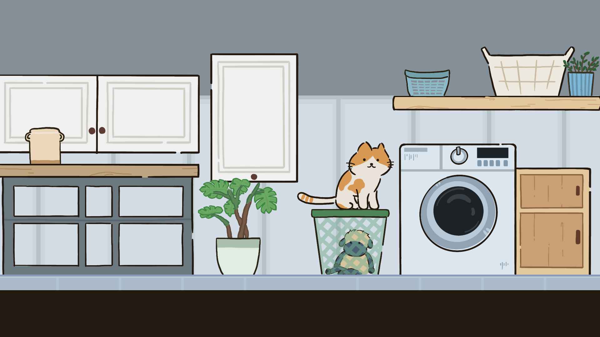 猫在家里