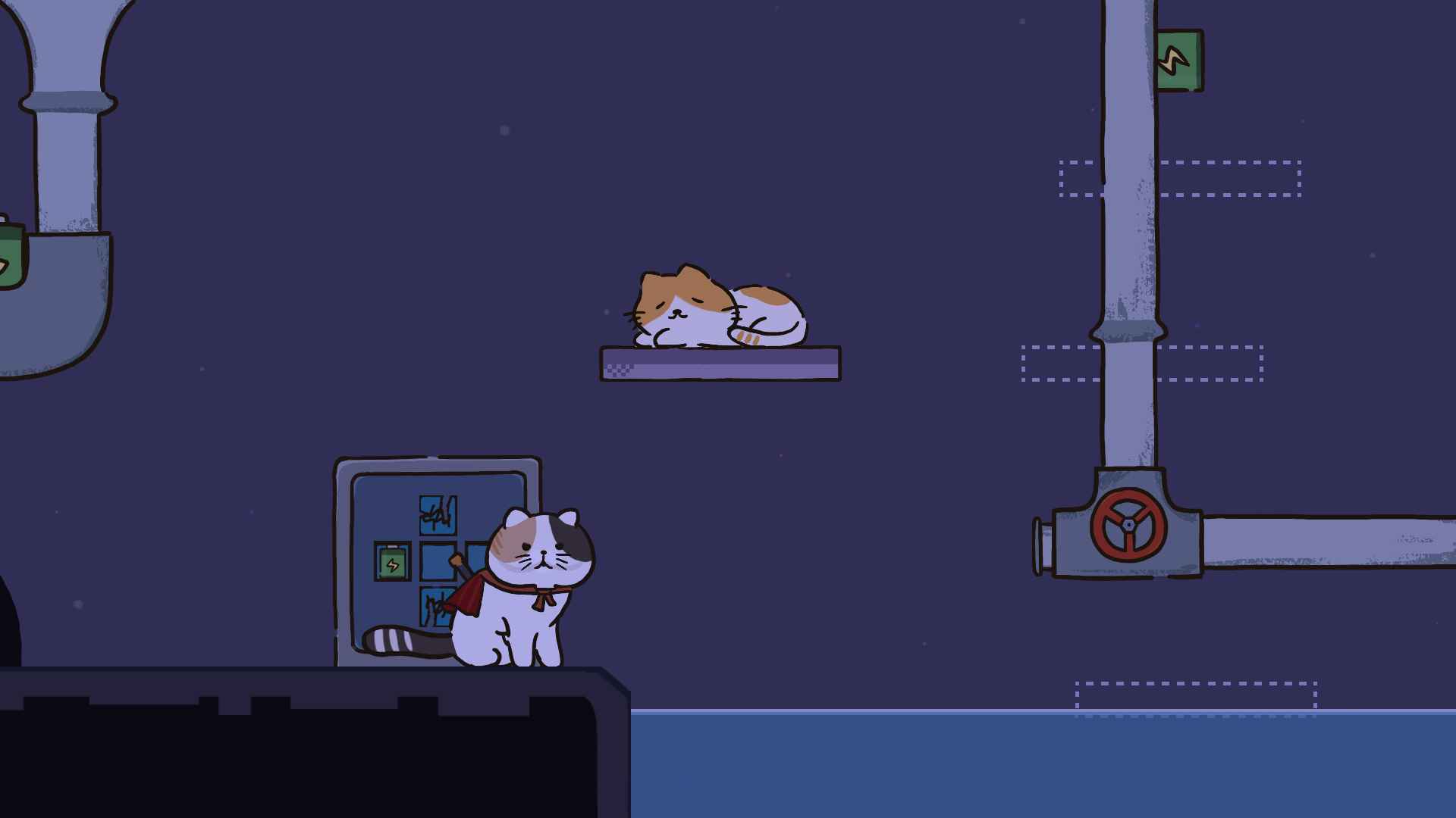 猫在家里