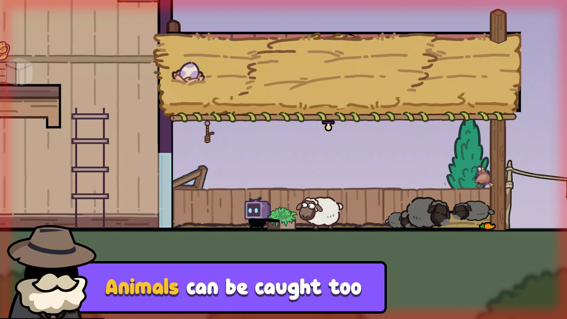 盗贼之夜 盗贼之夜