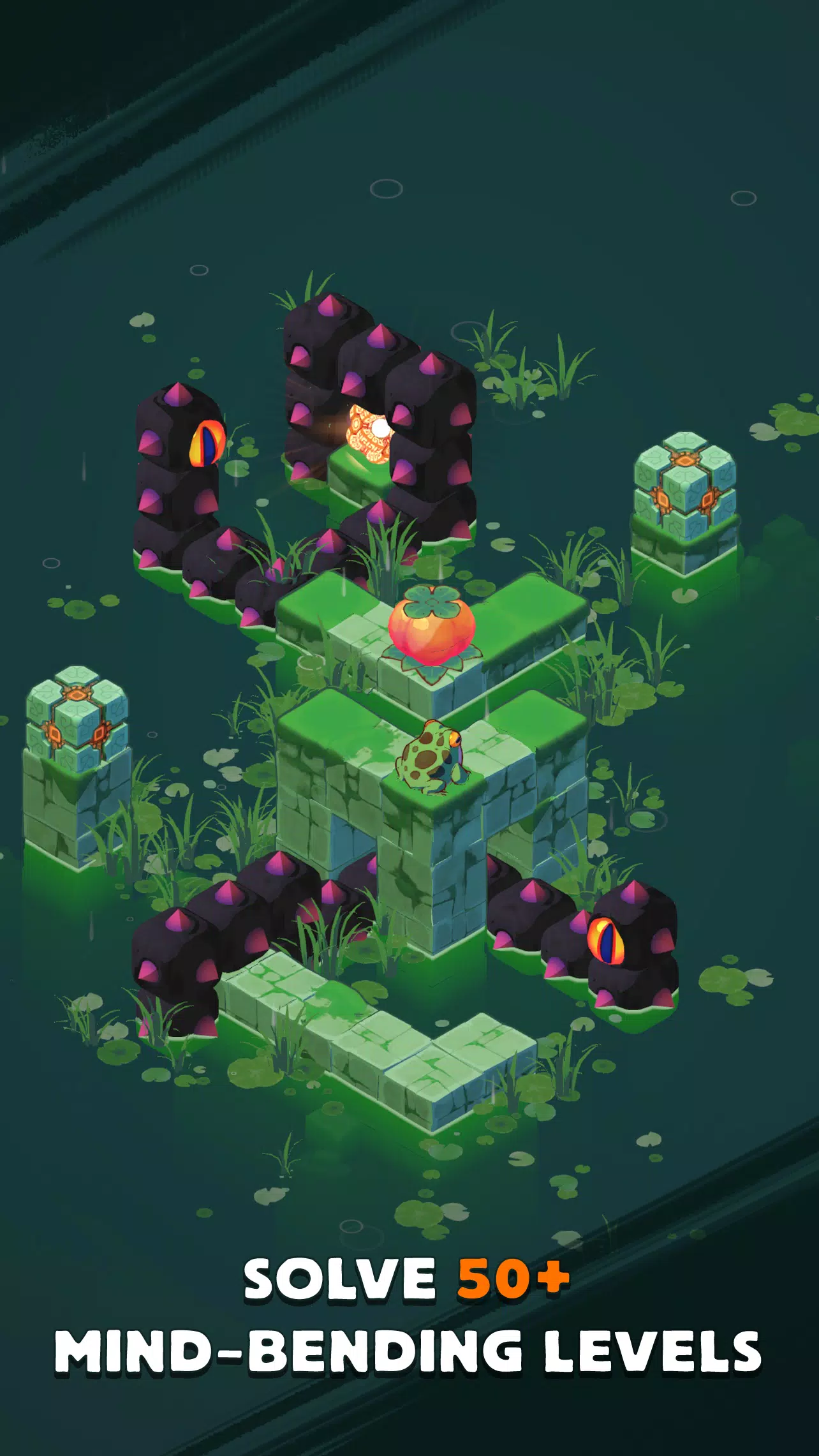 青蛙方块 青蛙方块