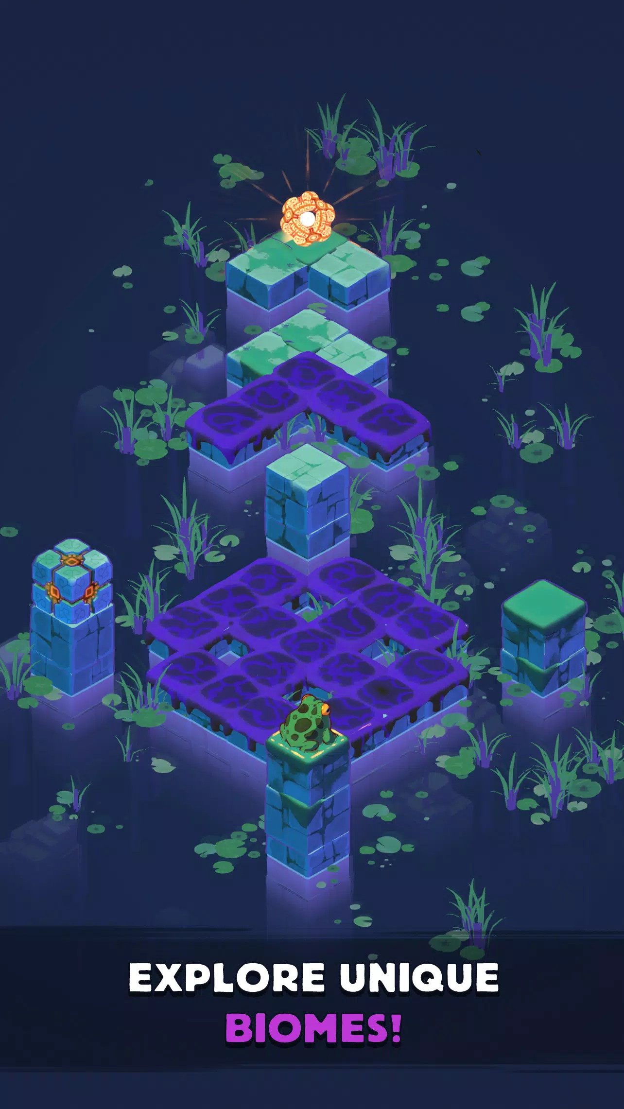 青蛙方块 青蛙方块