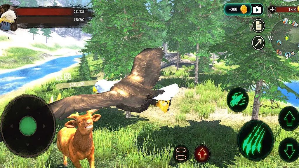 老鹰模拟器 老鹰模拟器