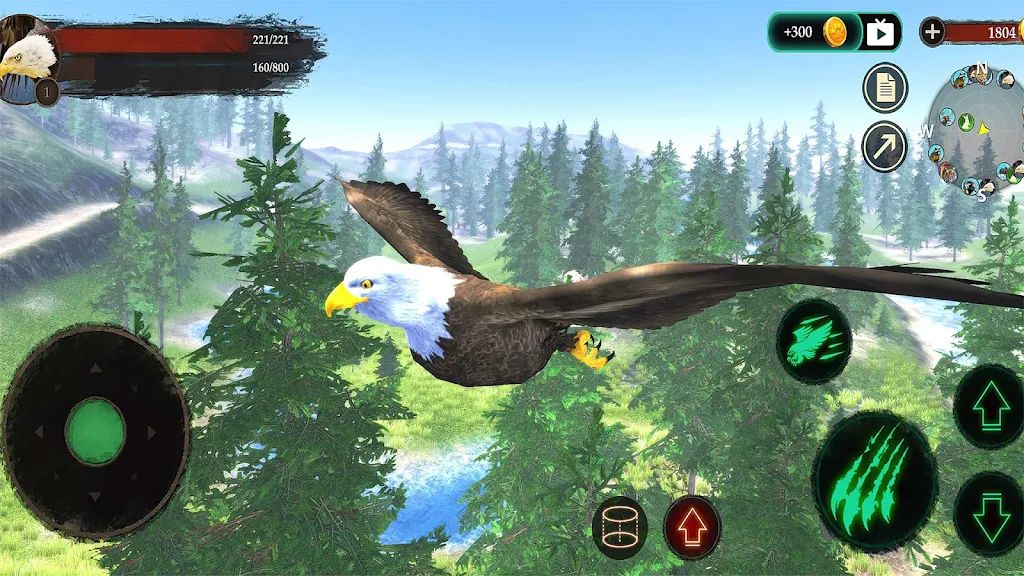 老鹰模拟器 老鹰模拟器