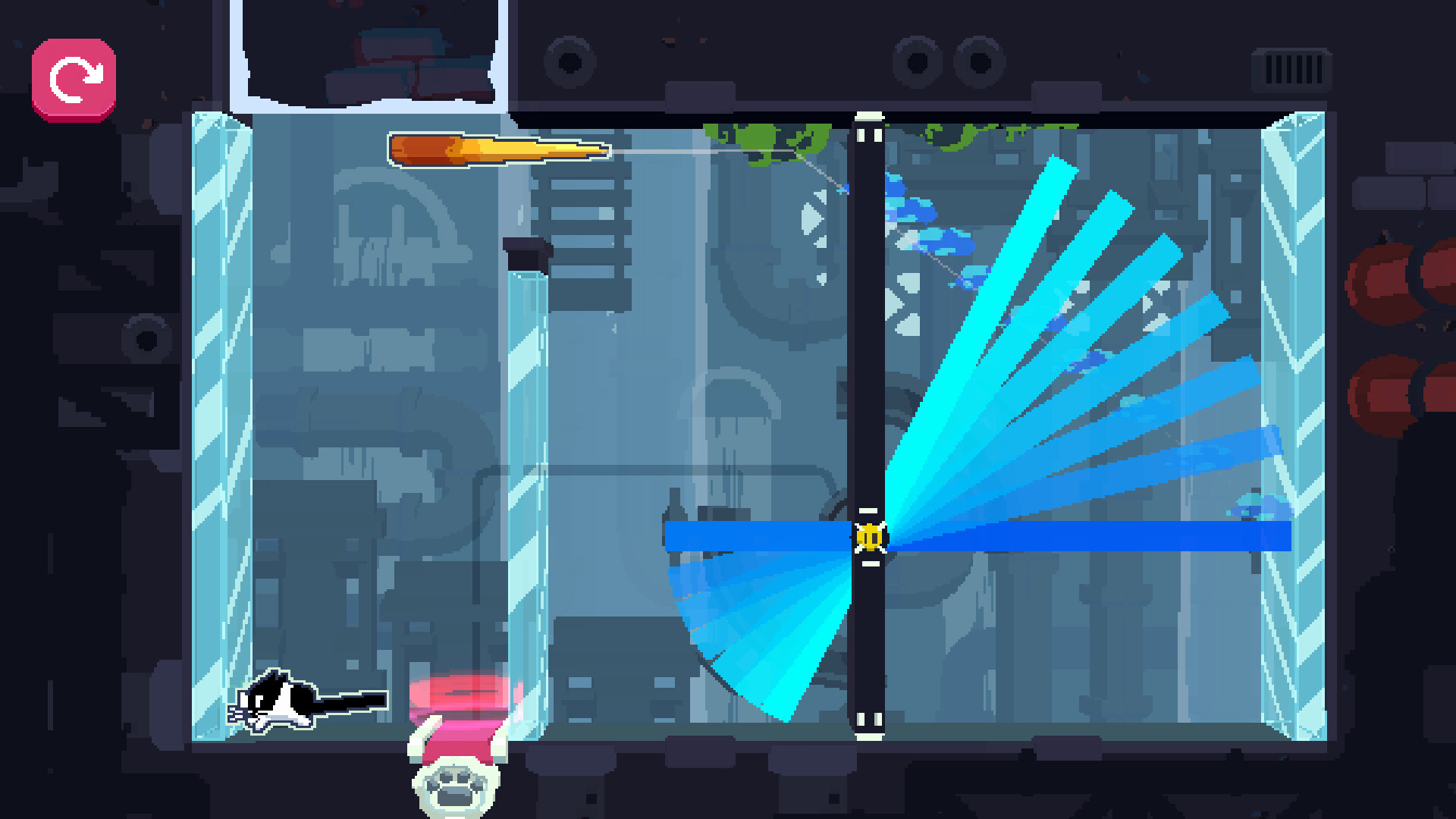 CATO黄油猫 CATO黄油猫