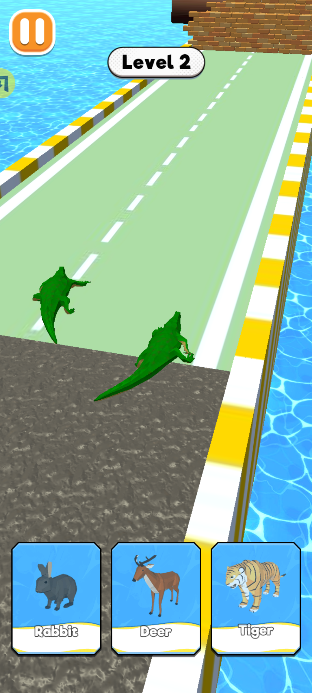 动物赛跑