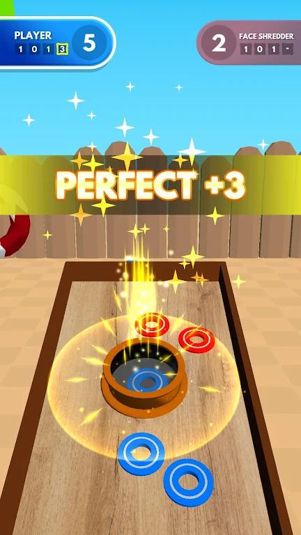 投掷垫圈 3D 投掷垫圈 3D